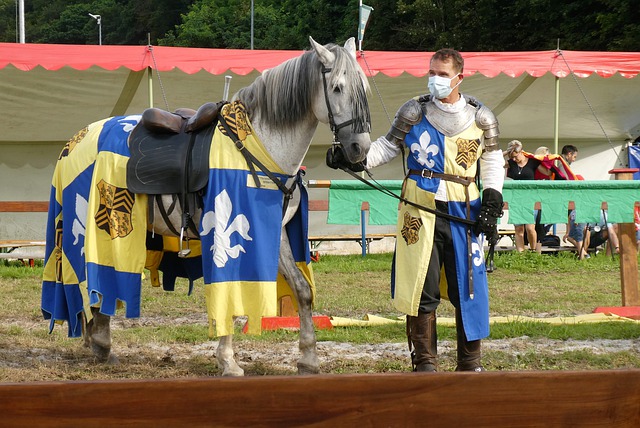 我们不仅要 我们不仅要