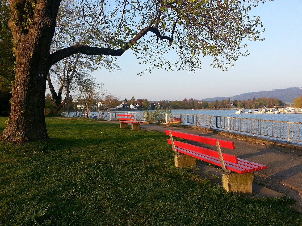 关键时刻选 关键时刻选