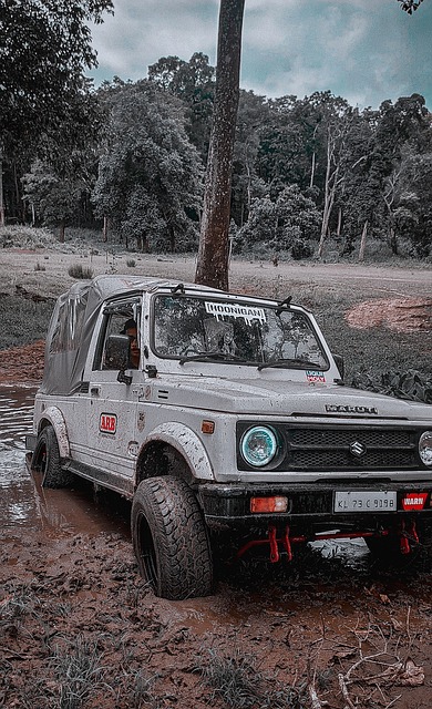 他们不仅仅 他们不仅仅