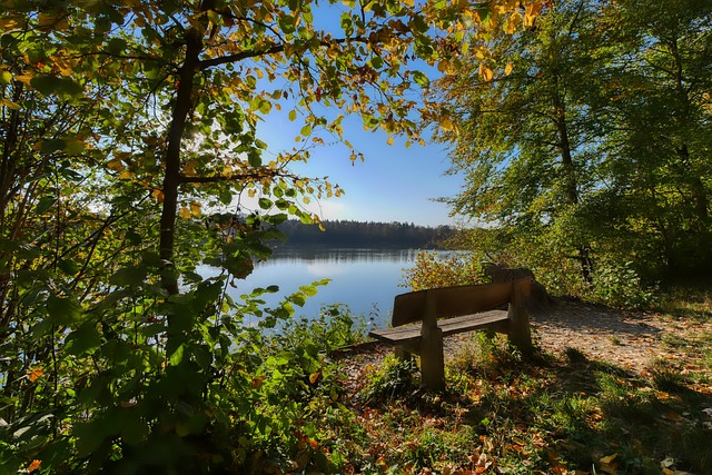 是中国职业 是中国职业