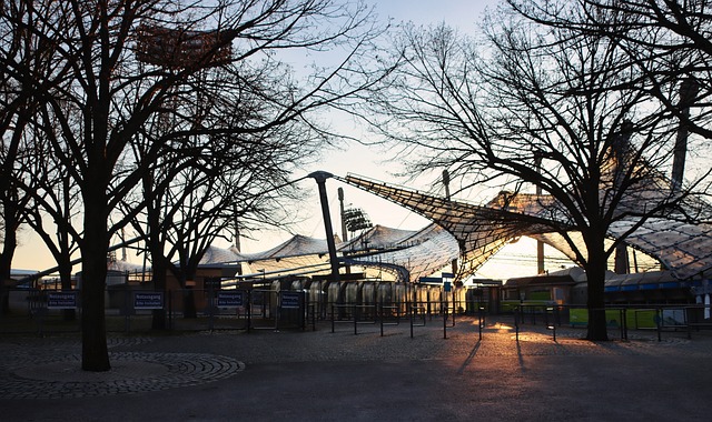 成为了这些 成为了这些